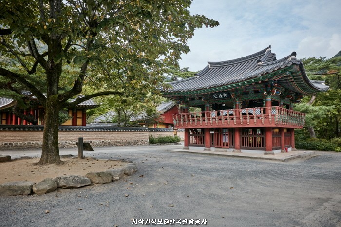 내나라여행 남도권 2박3일