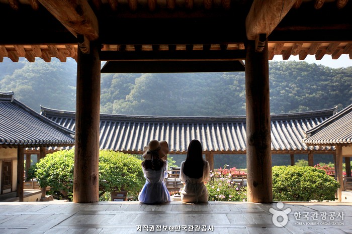 내나라여행 안동.영주 2박3일
