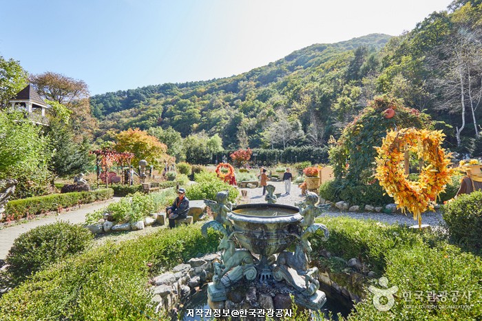 내나라여행 동부 1박2일