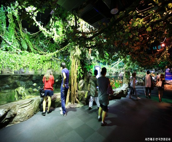 발길 닿는 곳 어디든 아름다운 부산 1박2일