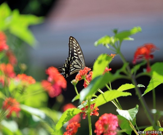 가까이에서 느껴본 숲내음! 포천 당일여행
