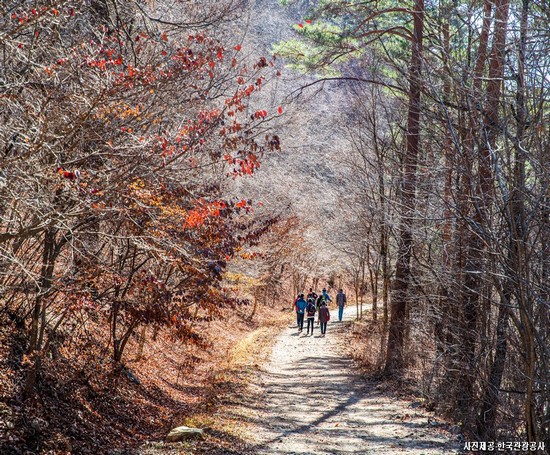 힐링 인문학 여행! 원주 당일여행
