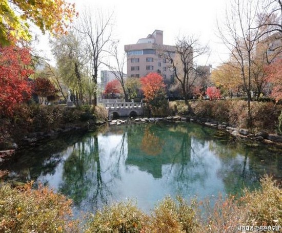 천상의 화원! 태백&정선 1박2일