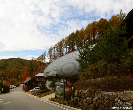 초록으로 가득한 힐링로드! 횡성&평창 1박2일