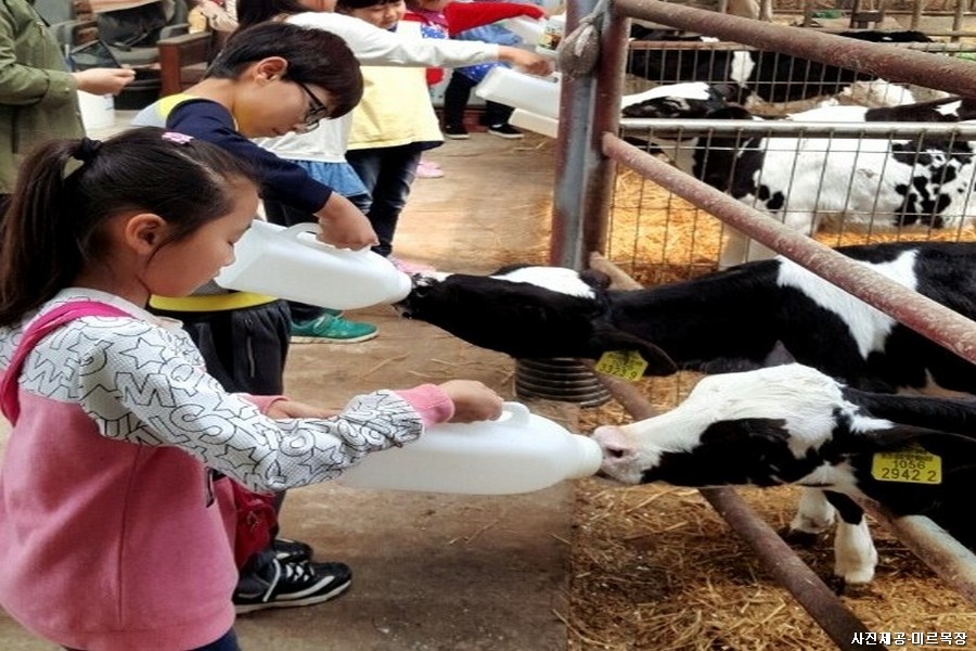 천년의 숨결, 대자연의 향연! 영광 1박2일