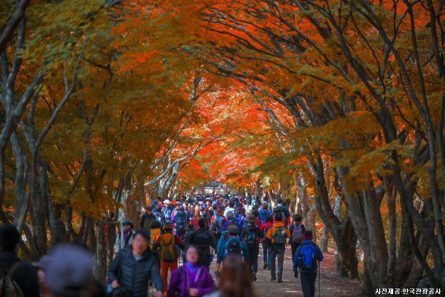 코로나로 지친 심신을 달래줄... 정읍/광주 1박2일