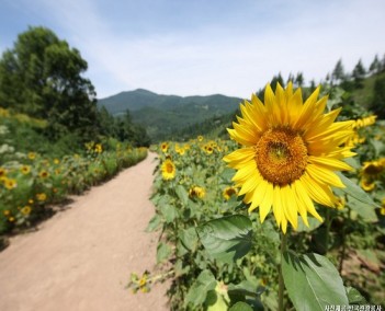 천상의 화원! 태백&정선 1박2일