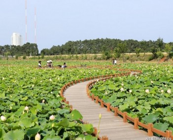 좋아요를 부르는 핫플 스팟! 강릉 1박2일